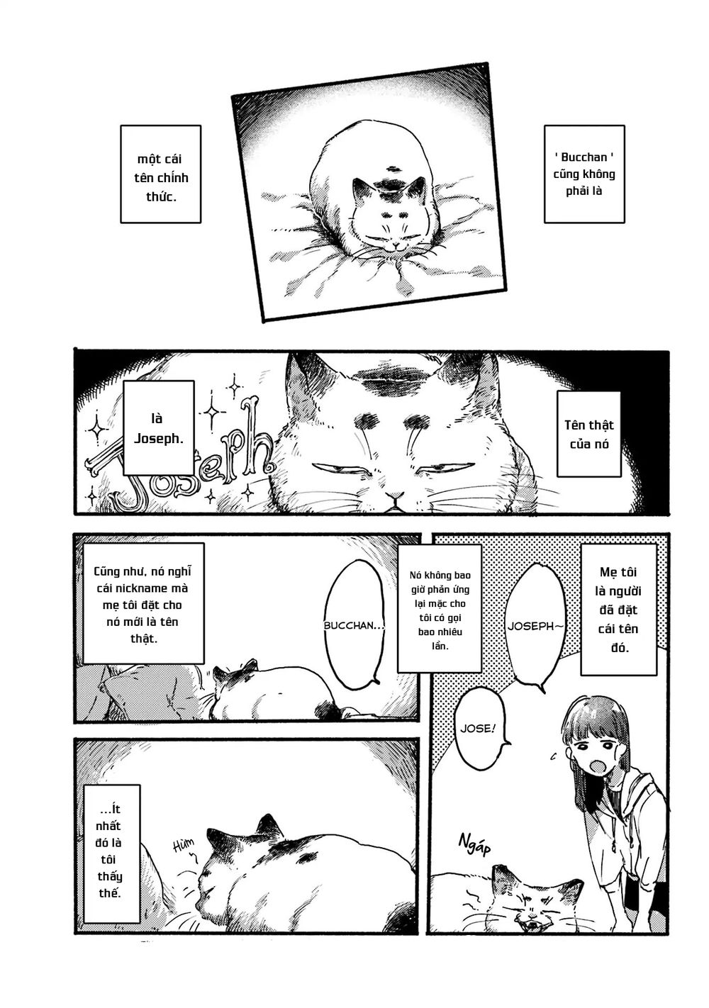 Nekodamari Chapter 9 - Trang 2