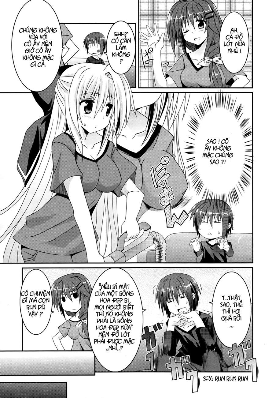 Tsuki Tsuki! Chapter 3 - Trang 2