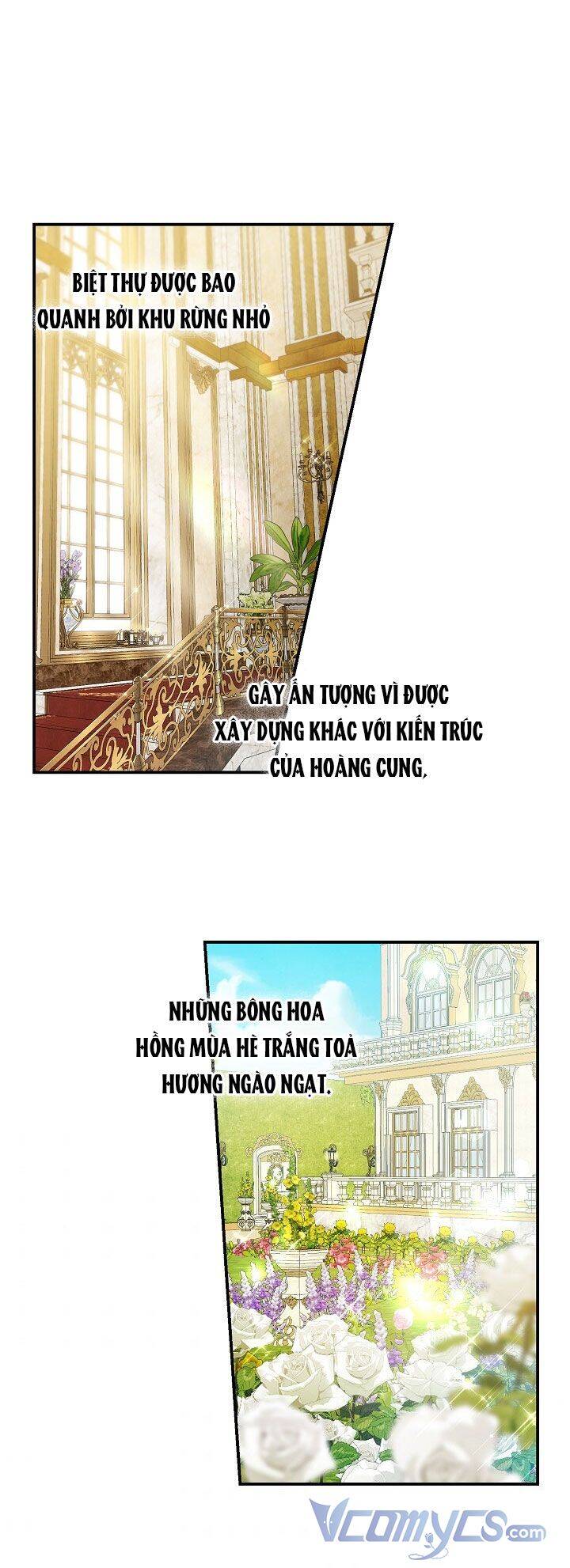 Hướng Về Ánh Dương Lần Nữa Chapter 36 - Trang 2