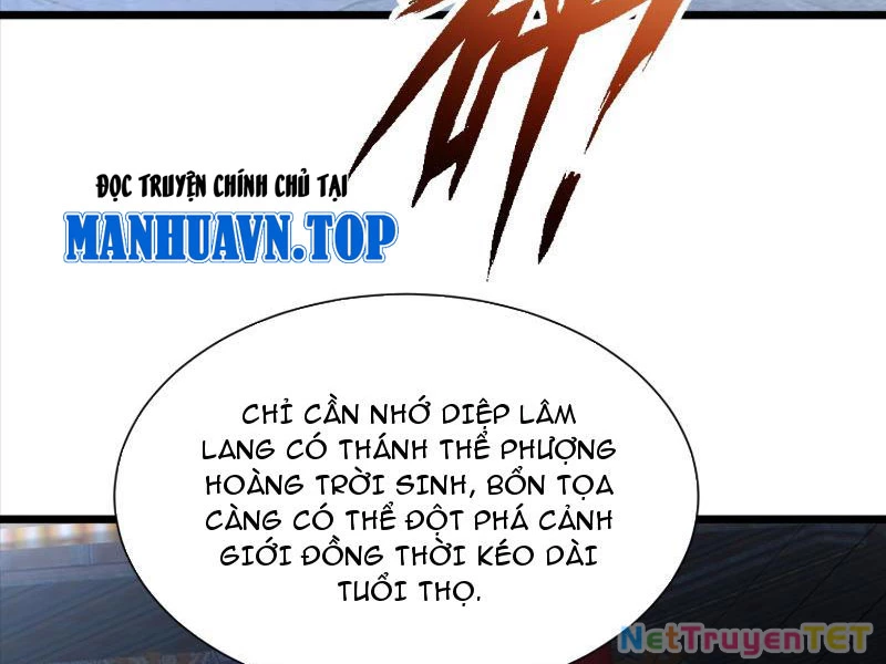 Hệ Thống Hèn Mọn Quỳ Xuống Cầu Xin Ta Vô Địch Chapter 32 - Trang 2