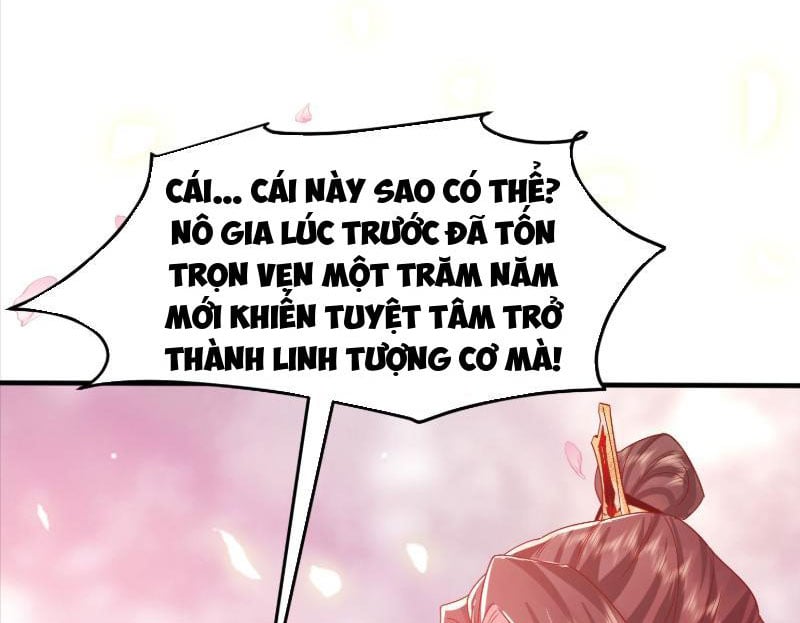 Hệ Thống Hèn Mọn Quỳ Xuống Cầu Xin Ta Vô Địch Chapter 29 - Trang 2