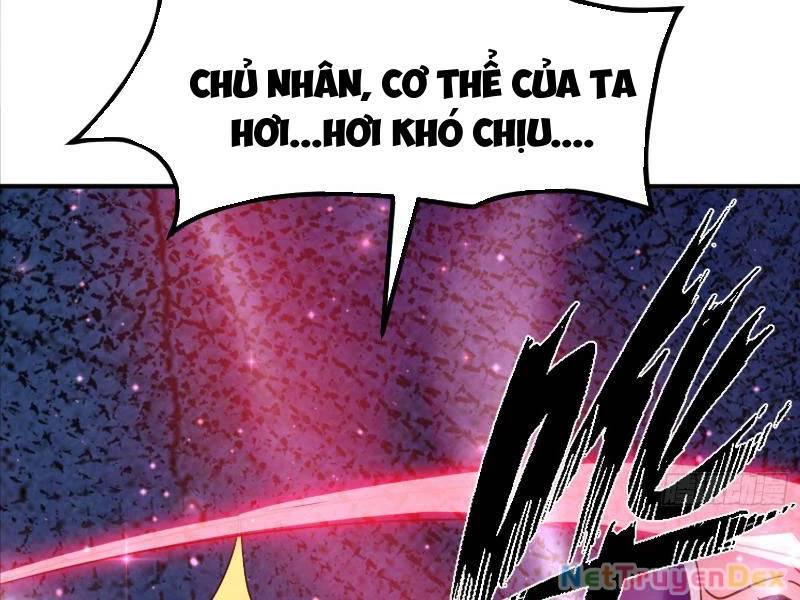 Hệ Thống Hèn Mọn Quỳ Xuống Cầu Xin Ta Vô Địch Chapter 26 - Trang 2