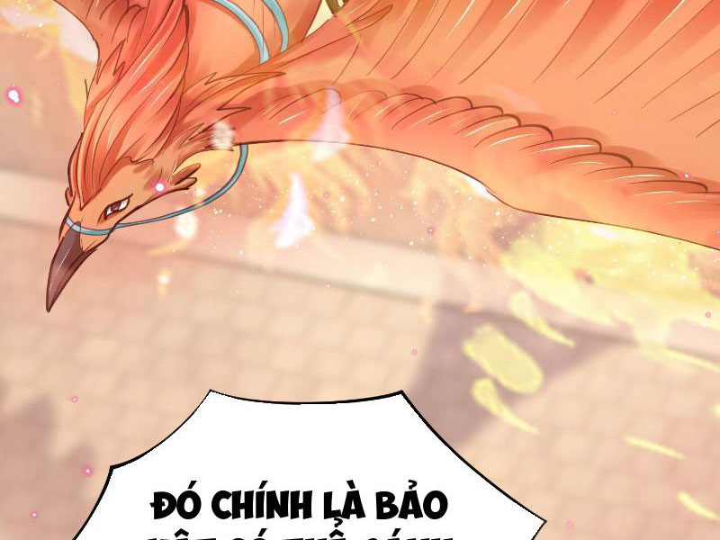 Hệ Thống Hèn Mọn Quỳ Xuống Cầu Xin Ta Vô Địch Chapter 4 - Trang 2