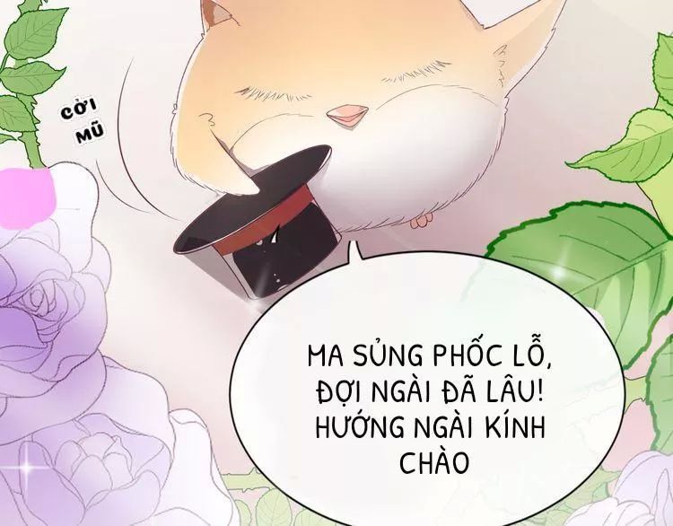 Thuần Trắng Vận Mệnh Chi Luân Chapter 5 - Trang 2