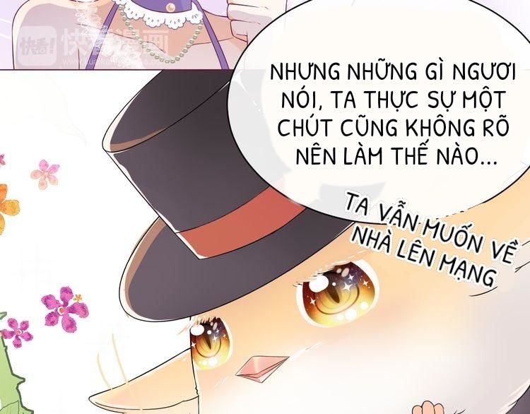 Thuần Trắng Vận Mệnh Chi Luân Chapter 5 - Trang 2