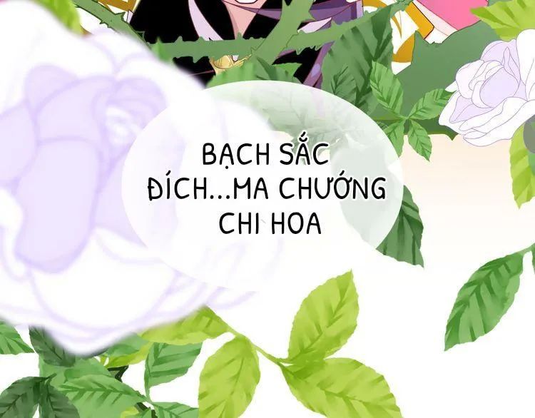 Thuần Trắng Vận Mệnh Chi Luân Chapter 4 - Trang 2