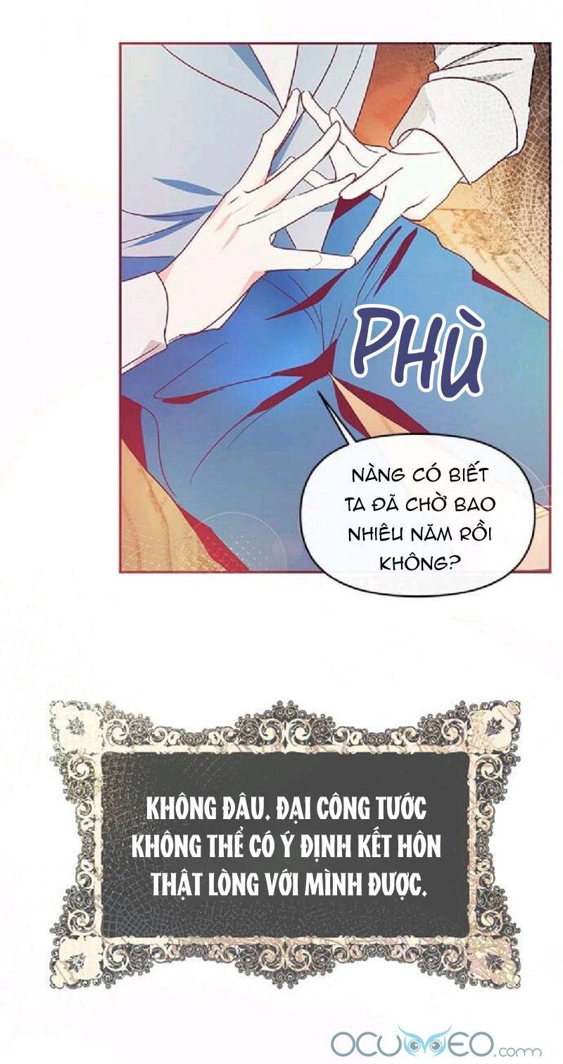 Đại Công Tước, Đó Chỉ Là Sai Lầm! Chapter 15 - Trang 2