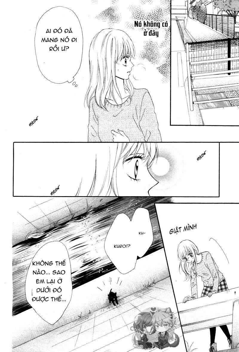 Koi Ni Naranai Wake Ga Nai Chapter 1 - Trang 2