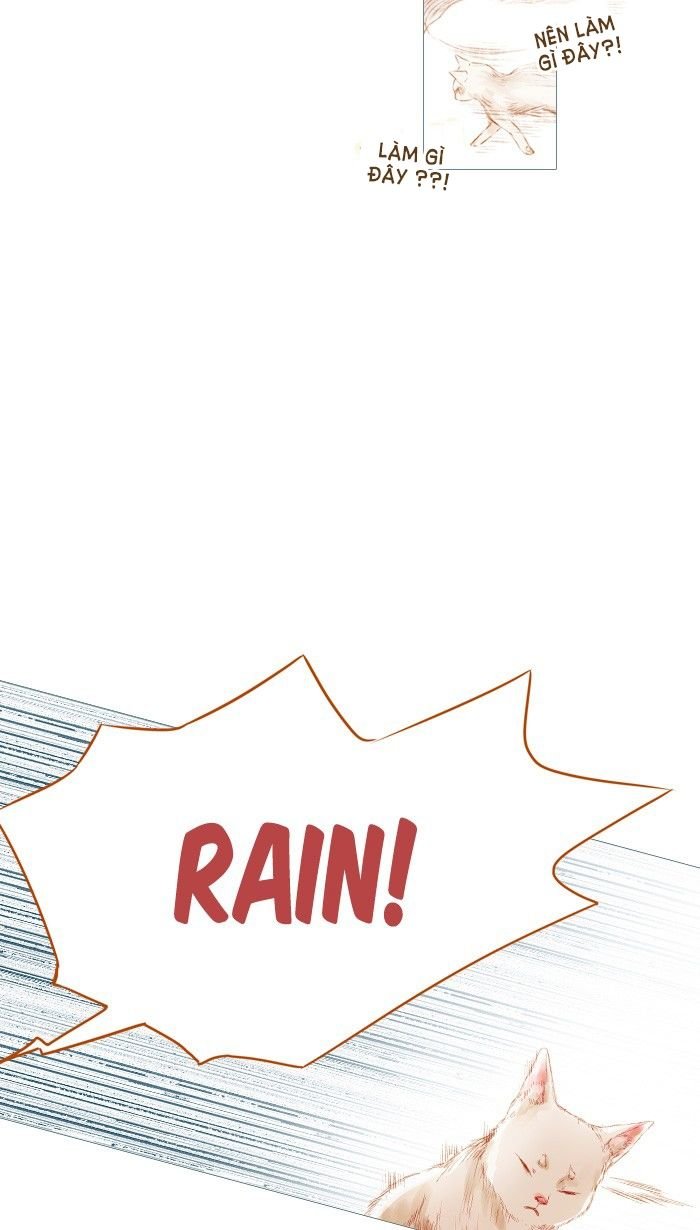 Little Rain Chapter 19 - Trang 2