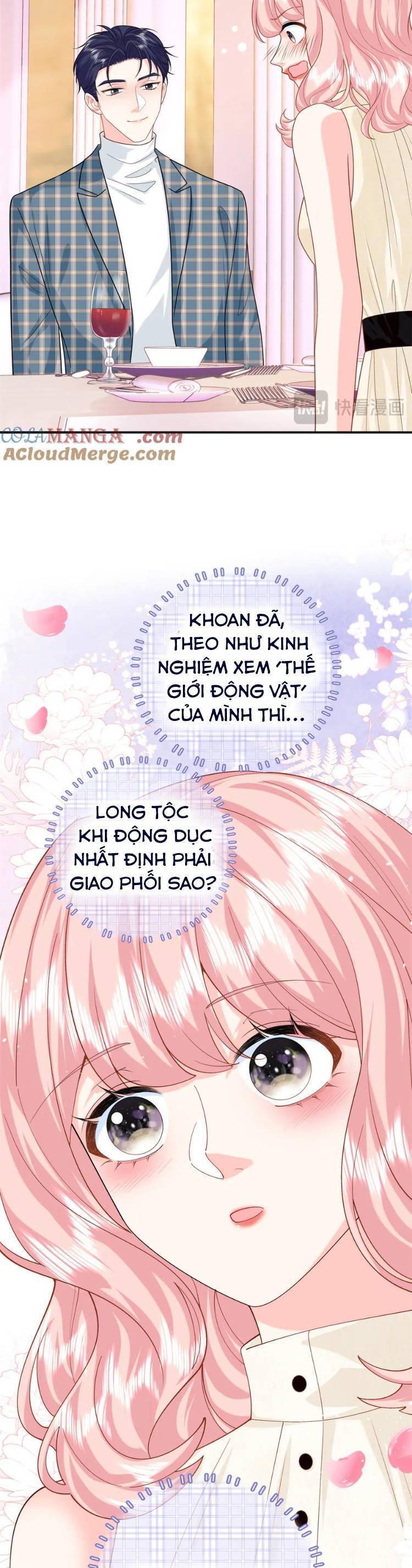 Bé Rồng Đột Kích! Mami Vừa Cay Vừa Độc Chapter 127 - Trang 2