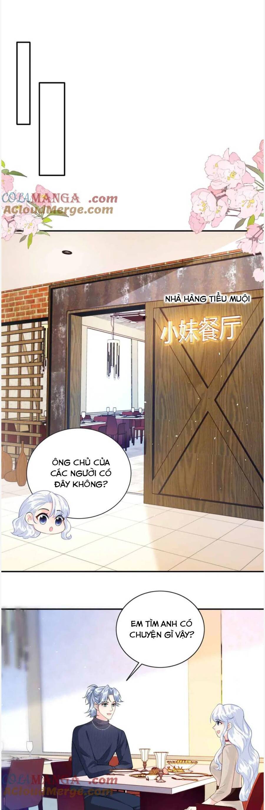 Bé Rồng Đột Kích! Mami Vừa Cay Vừa Độc Chapter 116 - Trang 2