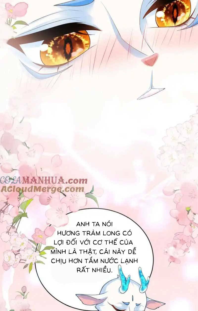 Bé Rồng Đột Kích! Mami Vừa Cay Vừa Độc Chapter 60 - Trang 2