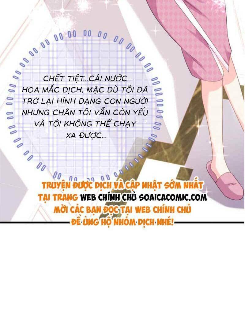 Bé Rồng Đột Kích! Mami Vừa Cay Vừa Độc Chapter 26 - Trang 2