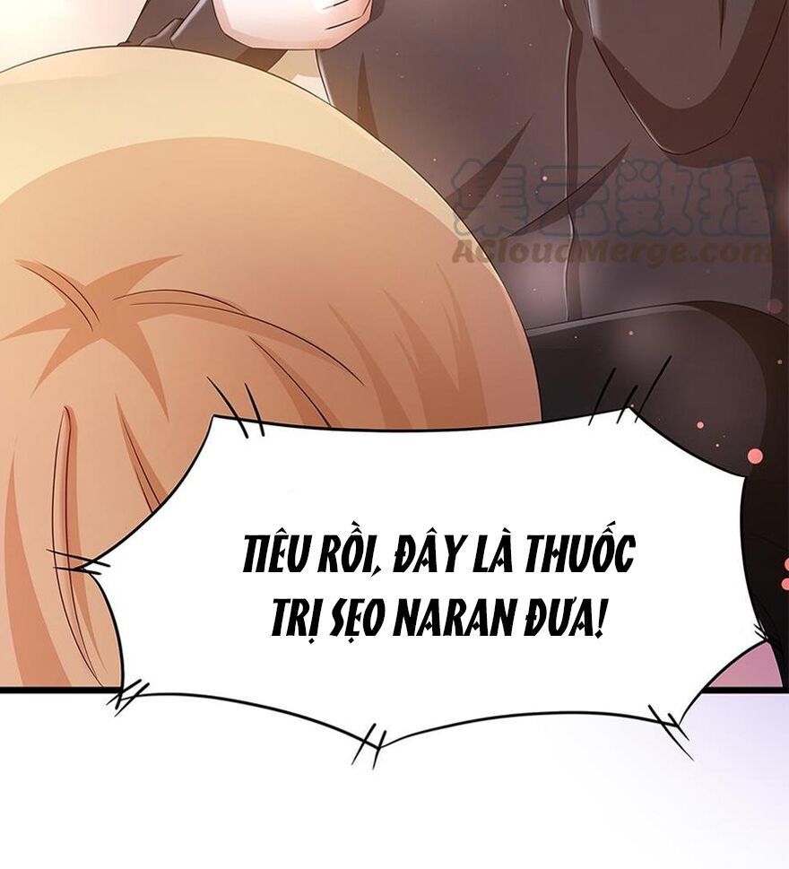 Cô Sát Thủ Ơi, Yêu Nhau Nhé Chapter 67 - Trang 2