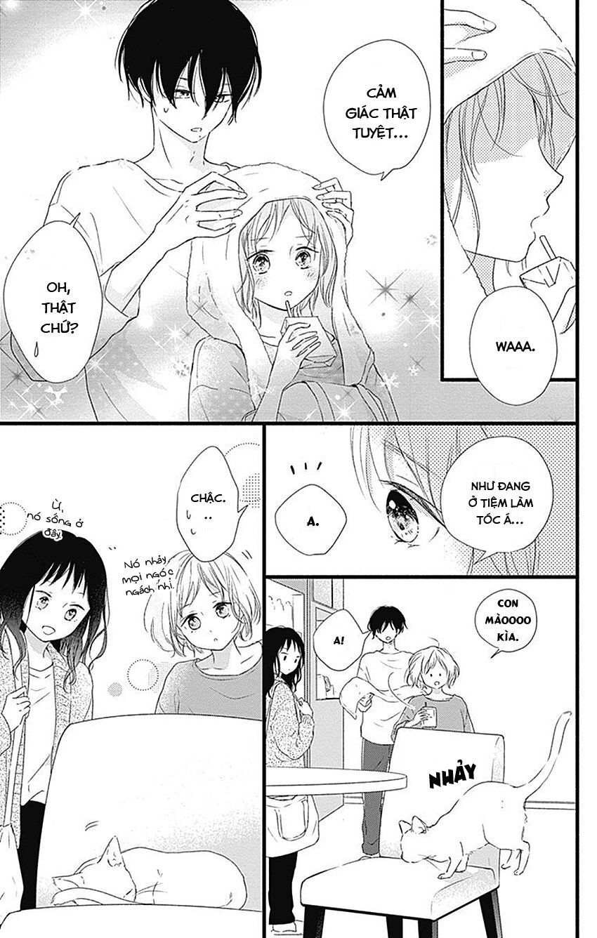 Haru To Koi To Kimi No Koto Chapter 4 - Trang 2