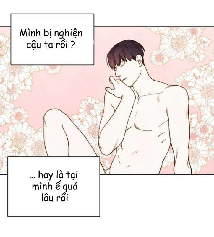 Ôi ! Trợ Lý Đặc Biệt Của Tôi Chapter 14 - Trang 2