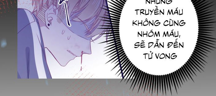 Người Yêu Huyết Ma Chapter 5 - Trang 2