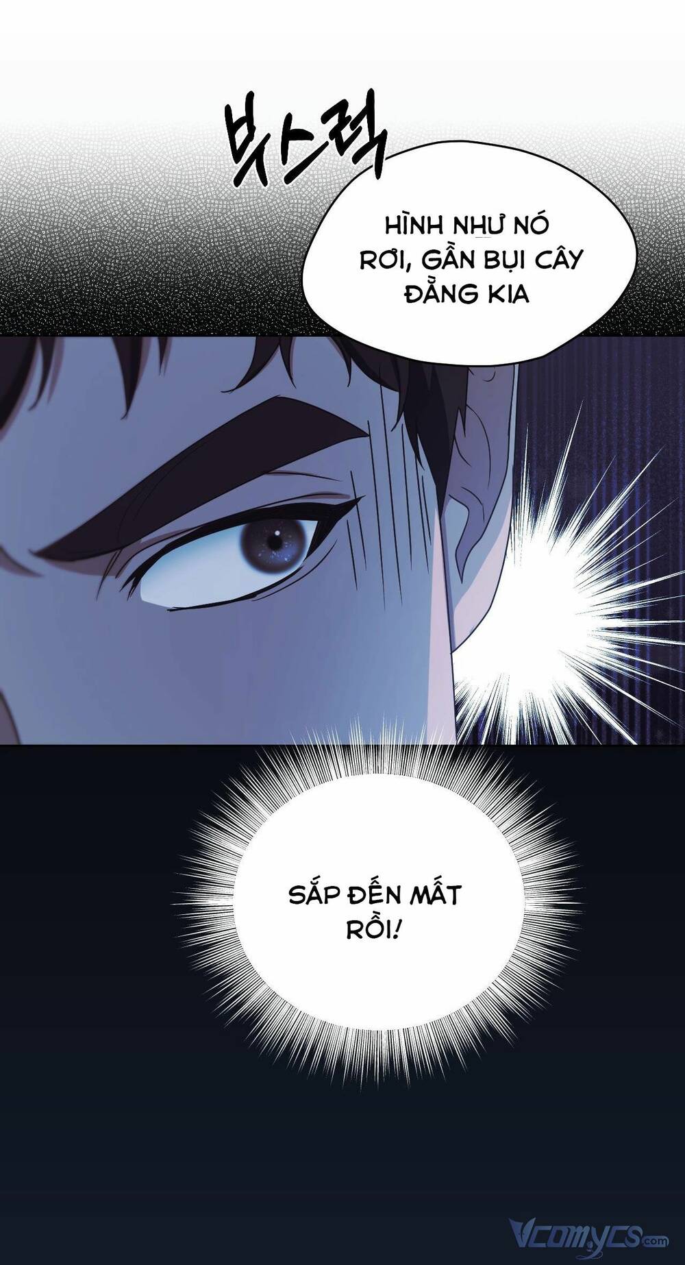 Thánh Nữ Giả Muốn Bỏ Trốn Chapter 12 - Trang 2