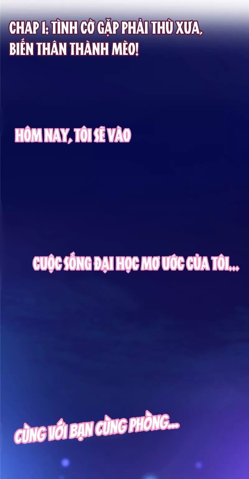 Trong Định Mệnh Có Anh Ấy Chapter 1 - Trang 2