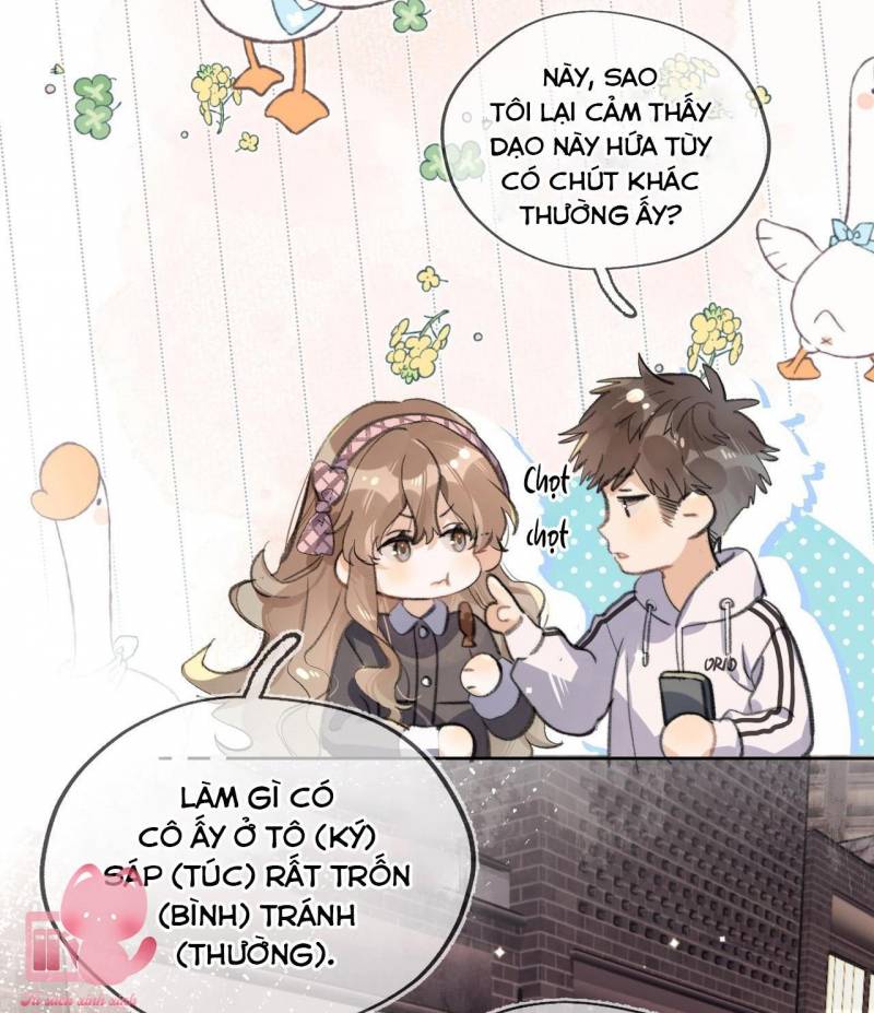 Tỏ Tình Chapter 33 - Trang 2