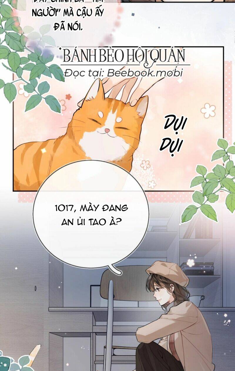 Tỏ Tình Chapter 18 - Trang 2