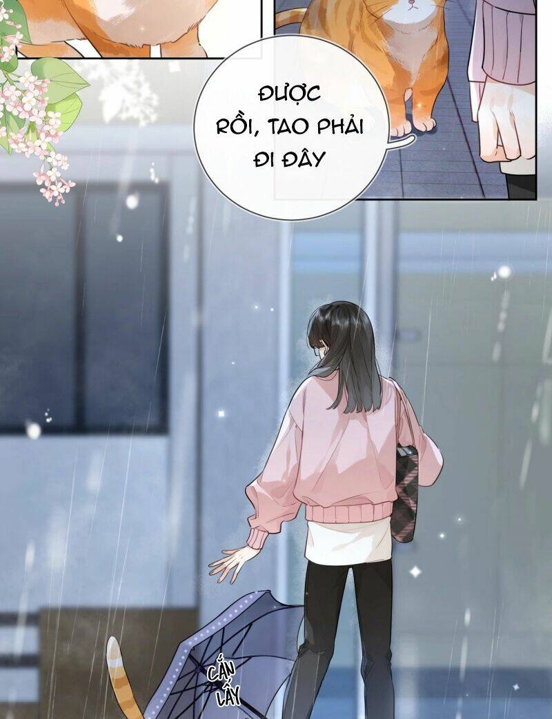 Tỏ Tình Chapter 15 - Trang 2