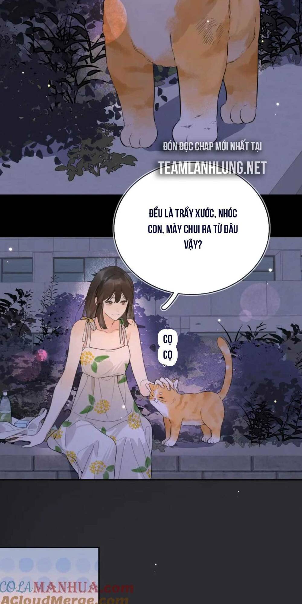 Tỏ Tình Chapter 9 - Trang 2