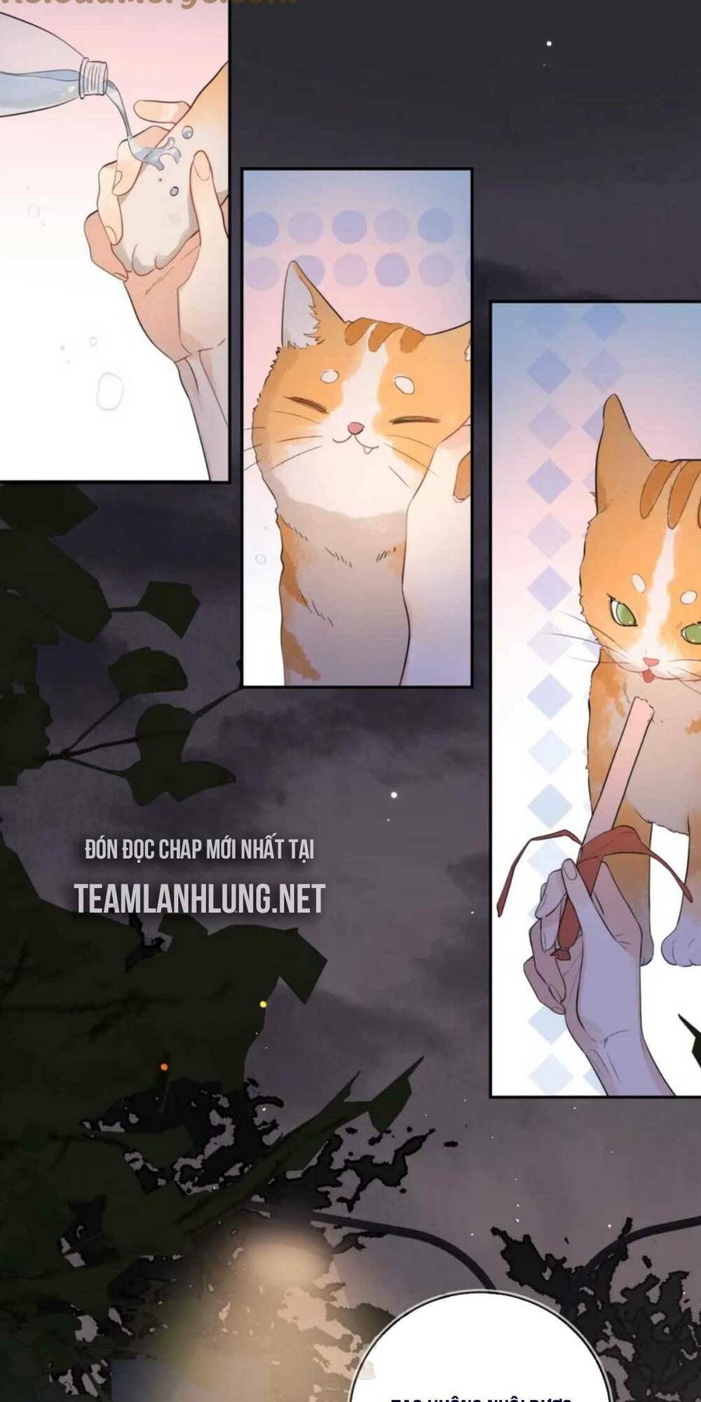 Tỏ Tình Chapter 9 - Trang 2