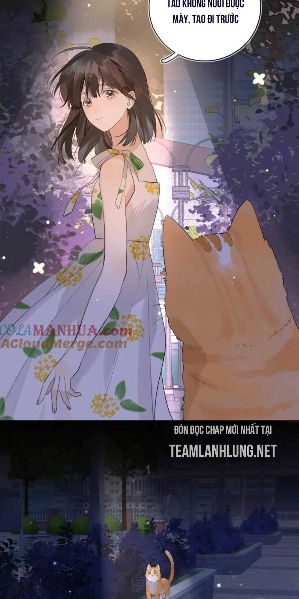 Tỏ Tình Chapter 9 - Trang 2