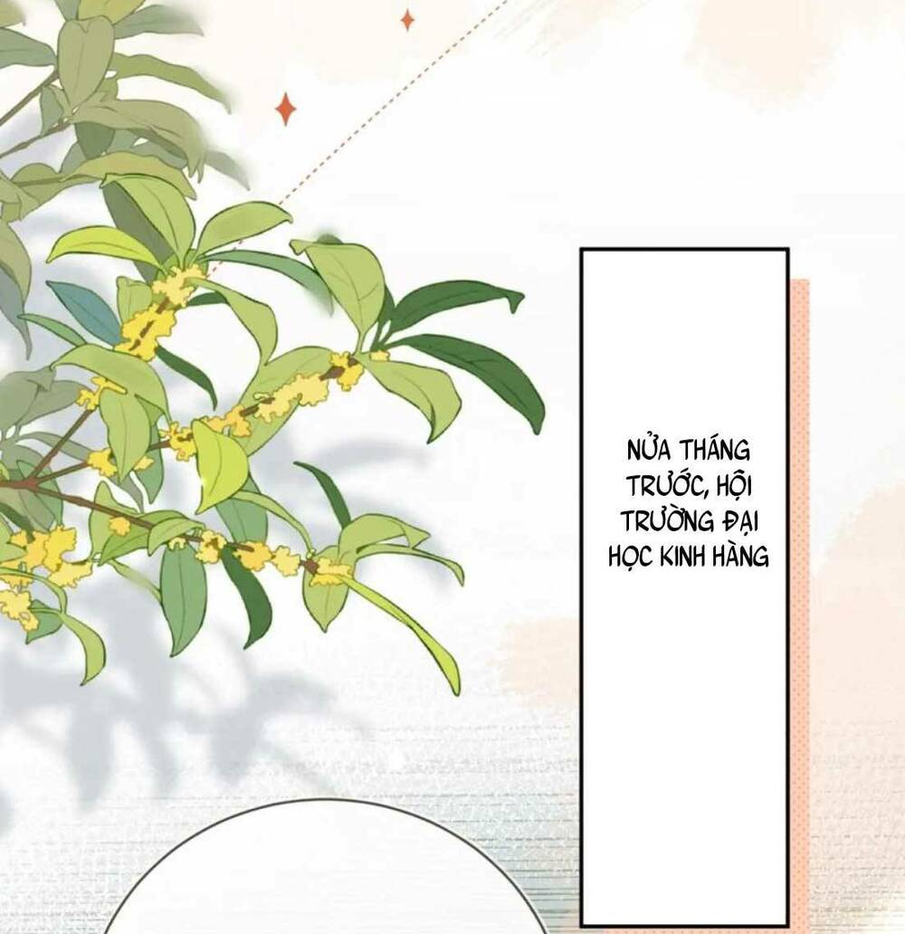 Tỏ Tình Chapter 8 - Trang 2