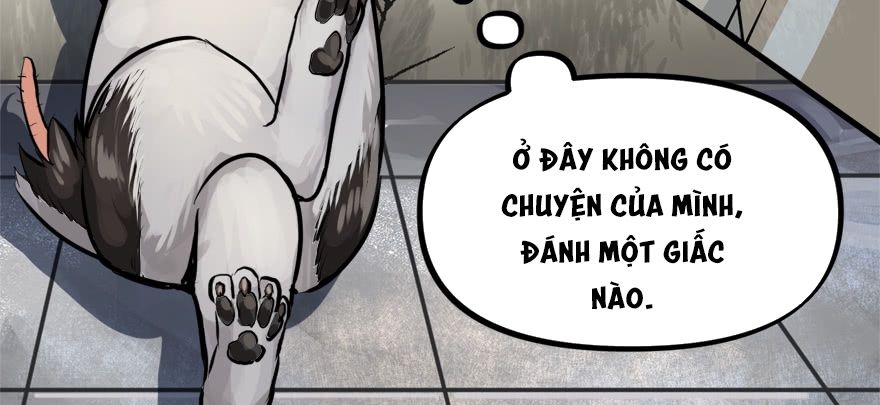 Vua Sinh Tồn Chapter 75 - Trang 2