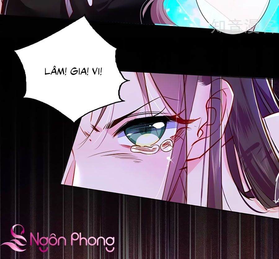 Nữ Vương Tàn Nhẫn Chapter 1 - Trang 2