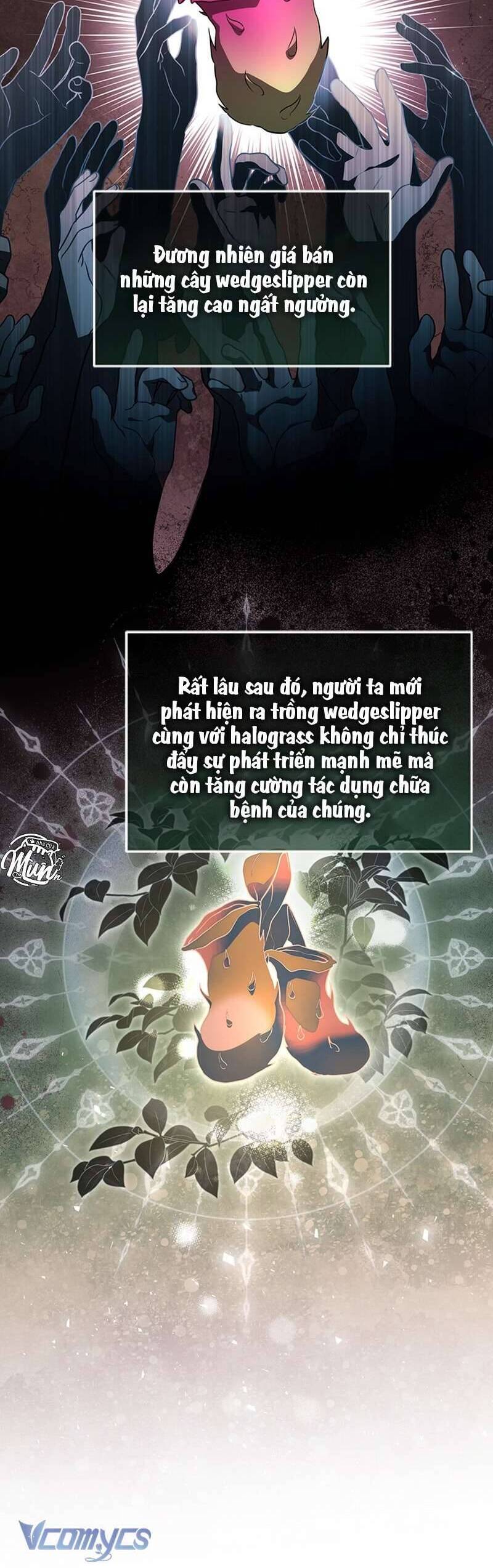 Cái Giá Phải Trả Chapter 33 - Trang 2