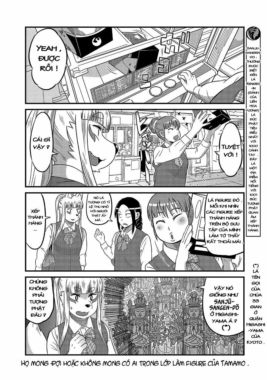 High School Inari Tamamo-Chan Chapter 7 - Trang 2