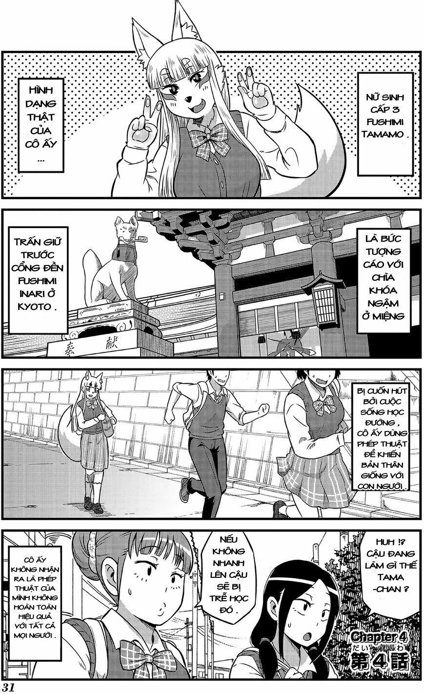 High School Inari Tamamo-Chan Chapter 4 - Trang 2