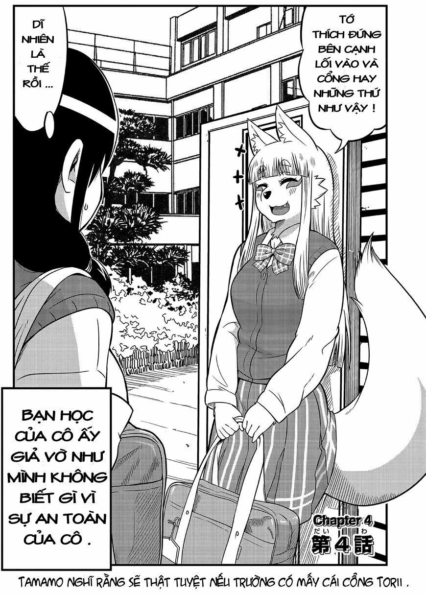 High School Inari Tamamo-Chan Chapter 4 - Trang 2