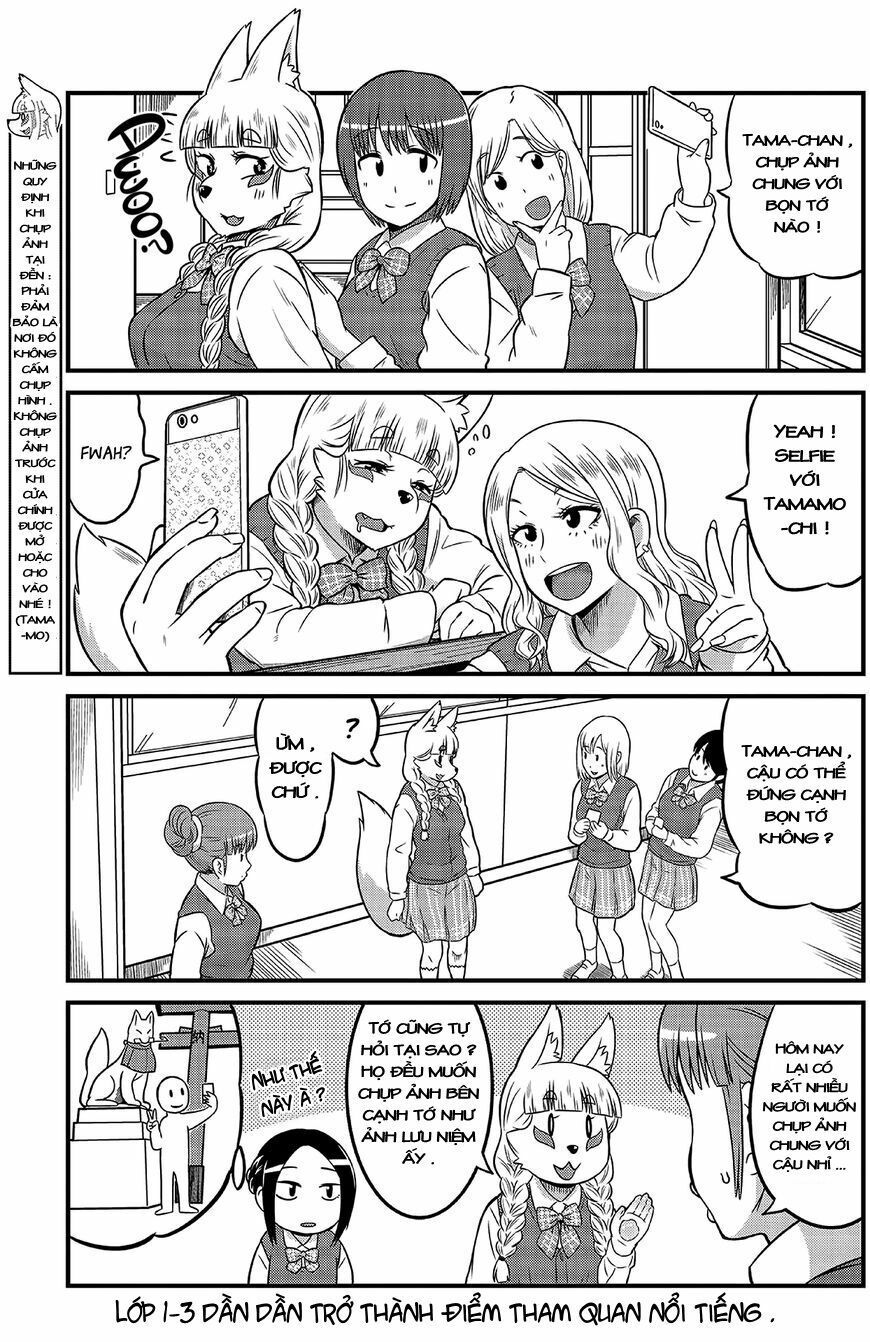 High School Inari Tamamo-Chan Chapter 4 - Trang 2