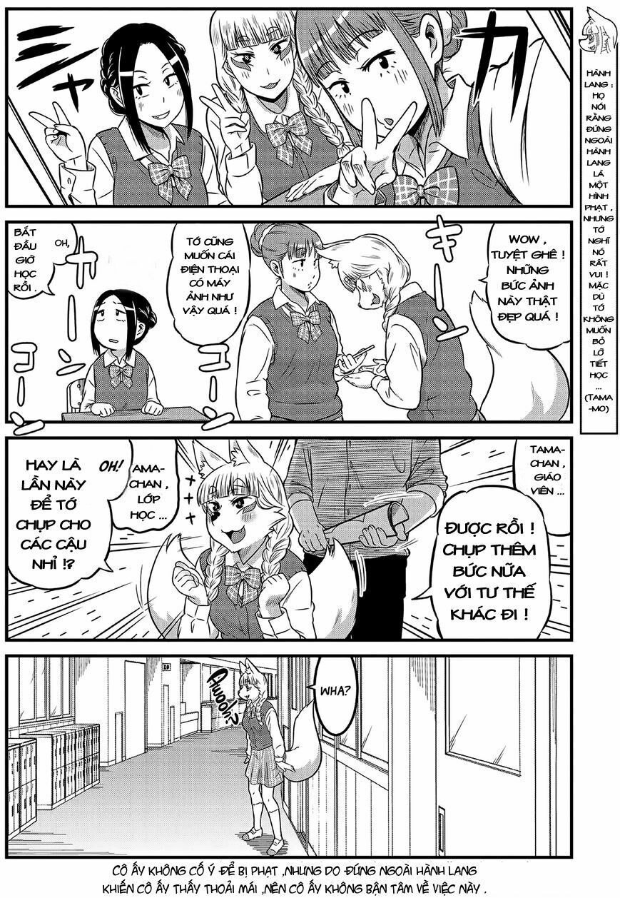 High School Inari Tamamo-Chan Chapter 4 - Trang 2