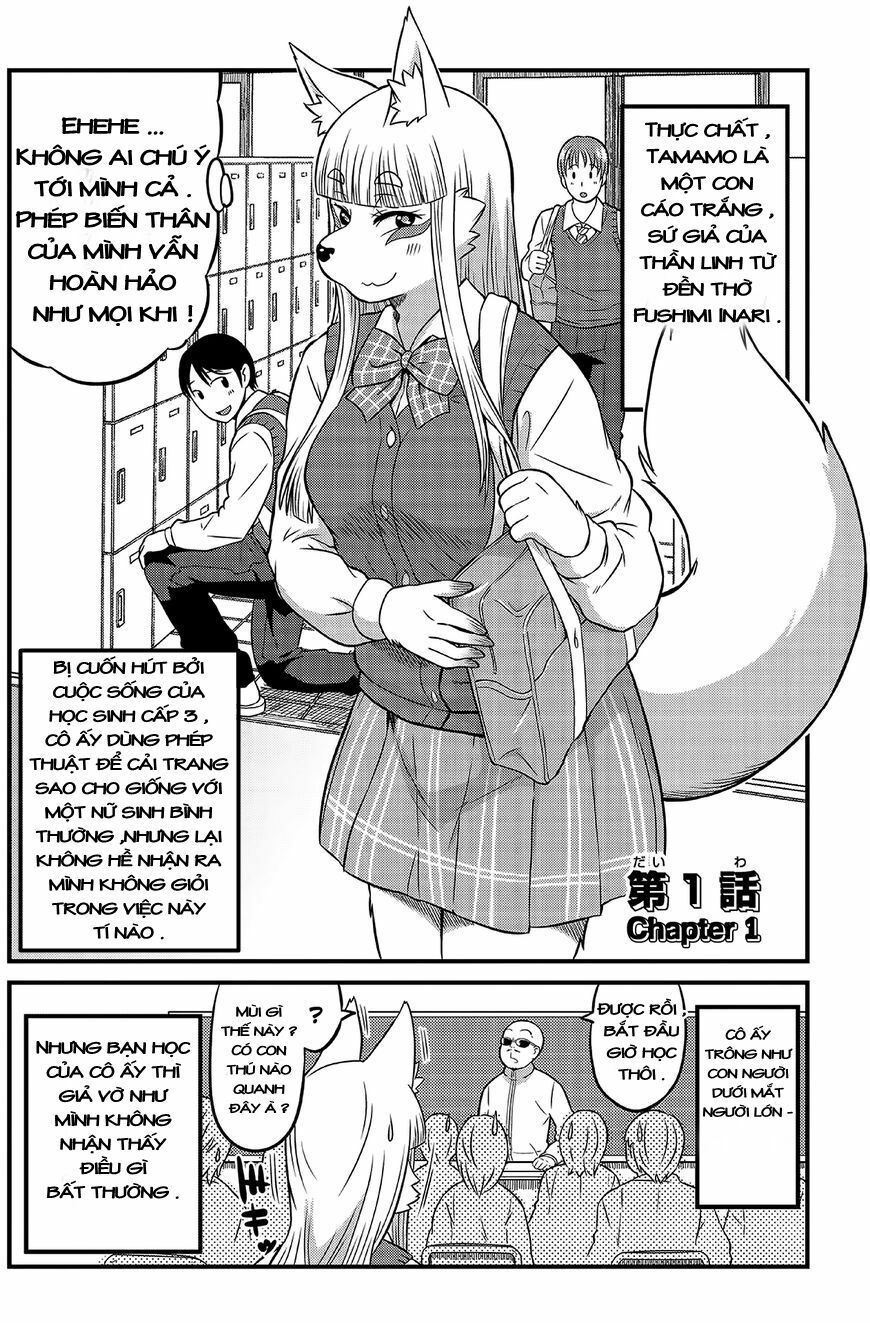 High School Inari Tamamo-Chan Chapter 1 - Trang 2