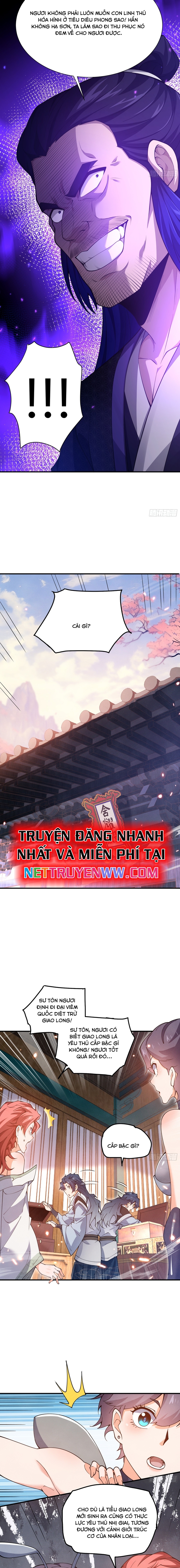 Luyện Khí 3000 Tầng: Mở Đầu Thu Nữ Đế Làm Đệ Chapter 13 - Trang 2