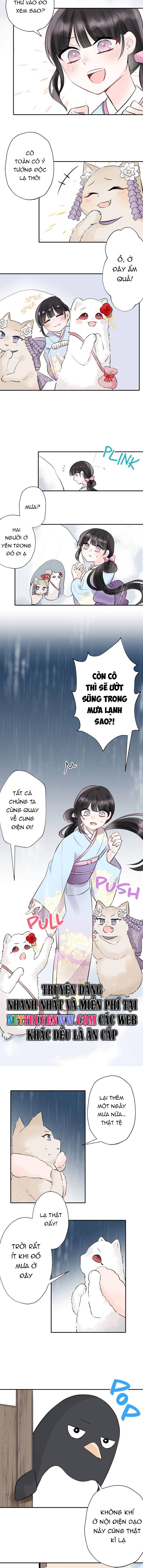 Cô Dâu Hiến Tế Của Thủy Thần Chapter 18 - Trang 2