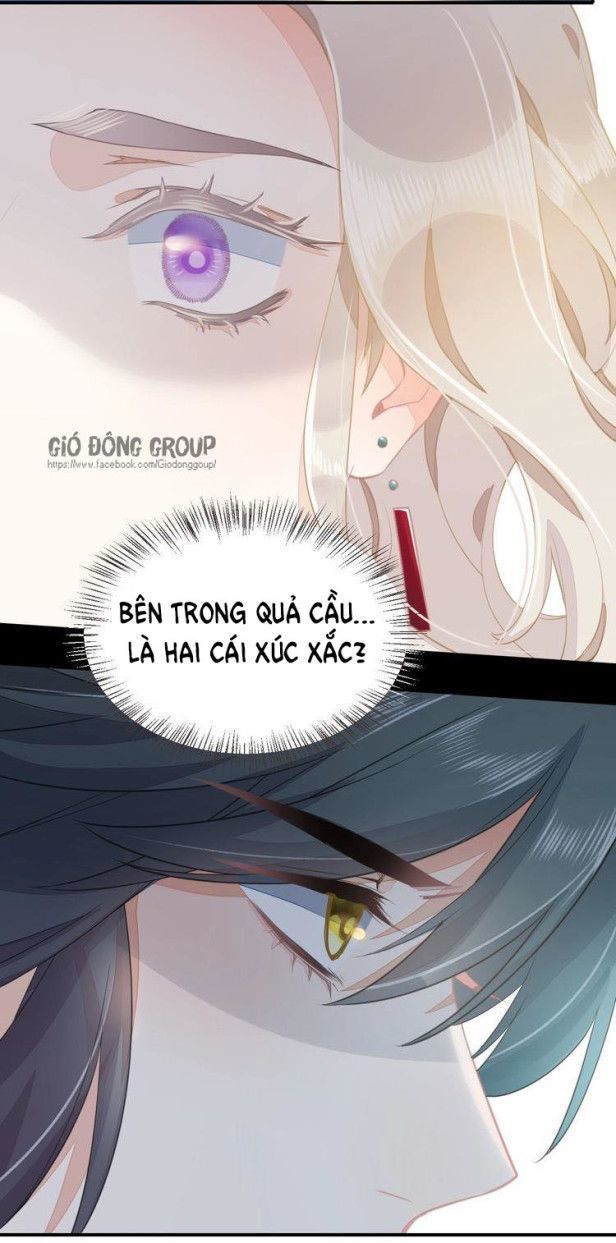 Trở Lại Trước Bình Minh Chapter 5 - Trang 2