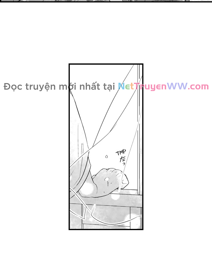 Ván Cược Tình Ái Chapter 23 - Trang 2