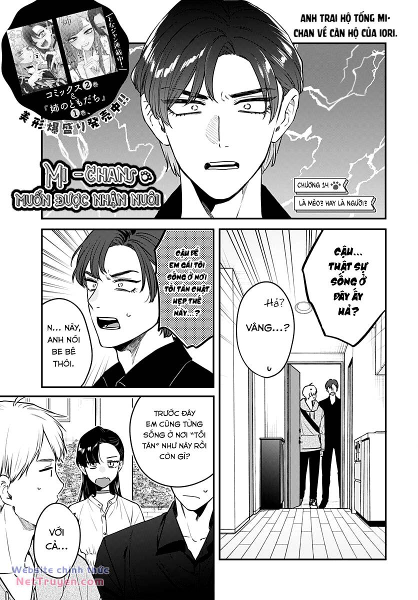 Mi-Chan Wa Kawaretai Chapter 14 - Trang 2