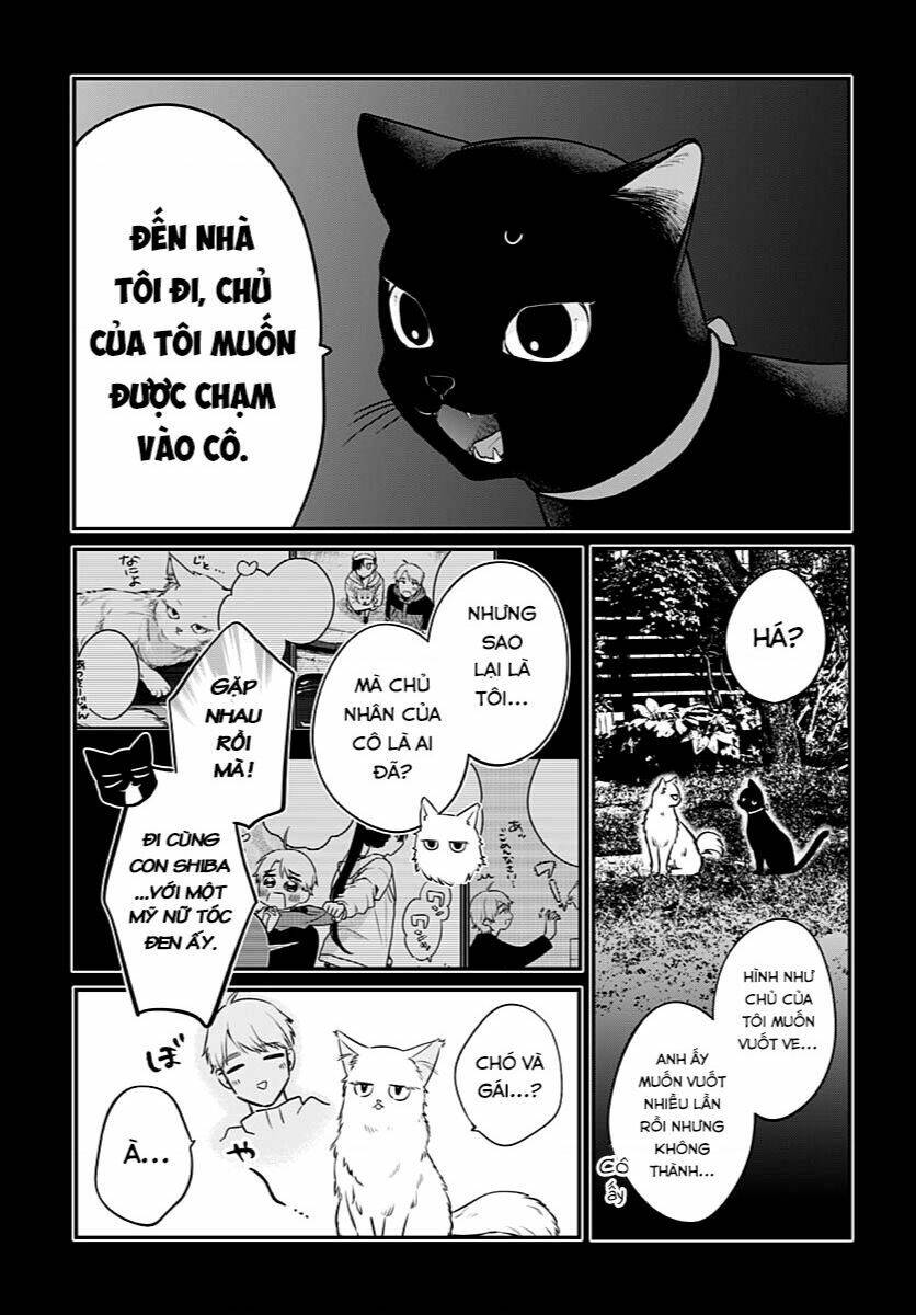 Mi-Chan Wa Kawaretai Chapter 6 - Trang 2