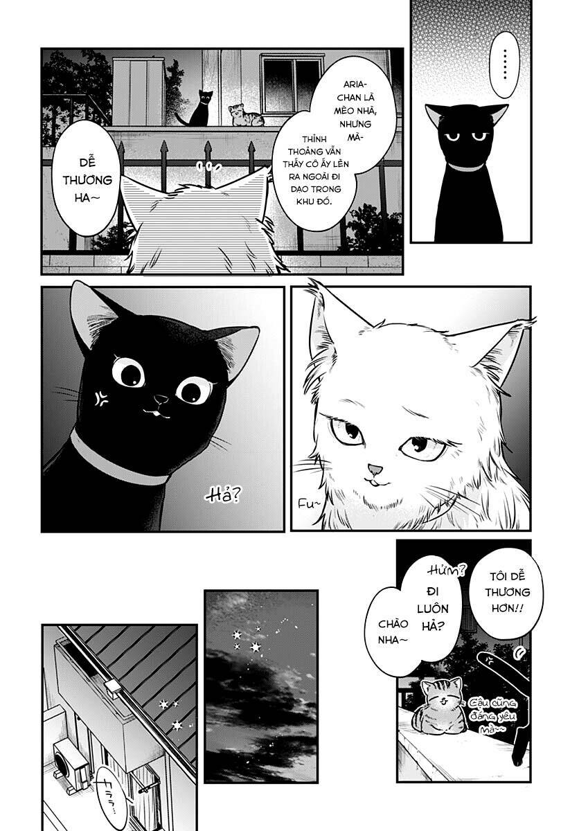 Mi-Chan Wa Kawaretai Chapter 5 - Trang 2