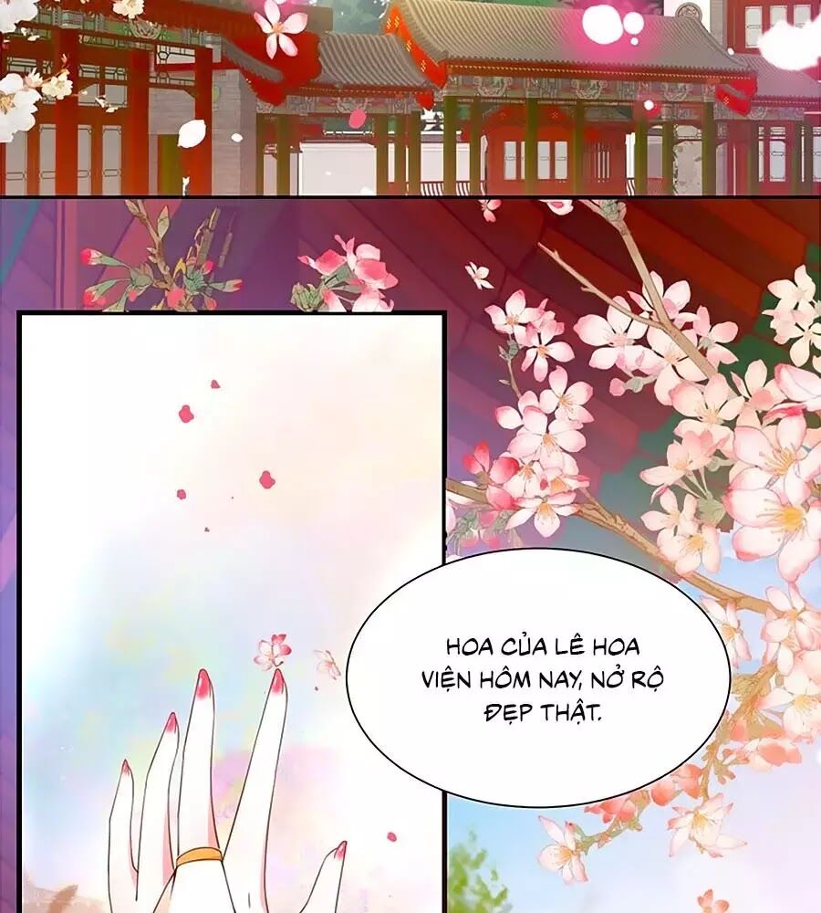 Thịnh Thế Lê Hoa Điện Chapter 92 - Trang 2