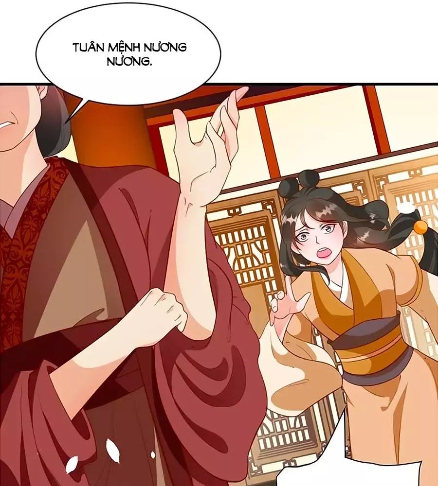 Thịnh Thế Lê Hoa Điện Chapter 78 - Trang 2