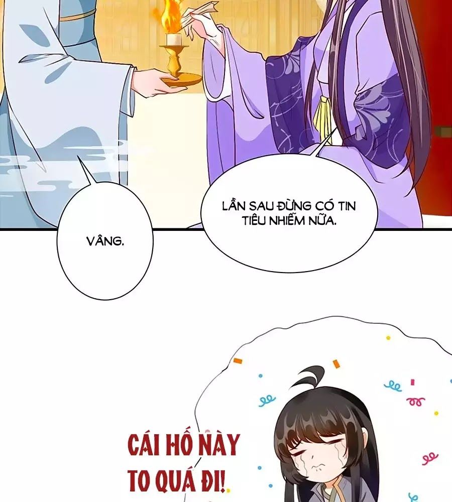 Thịnh Thế Lê Hoa Điện Chapter 77 - Trang 2