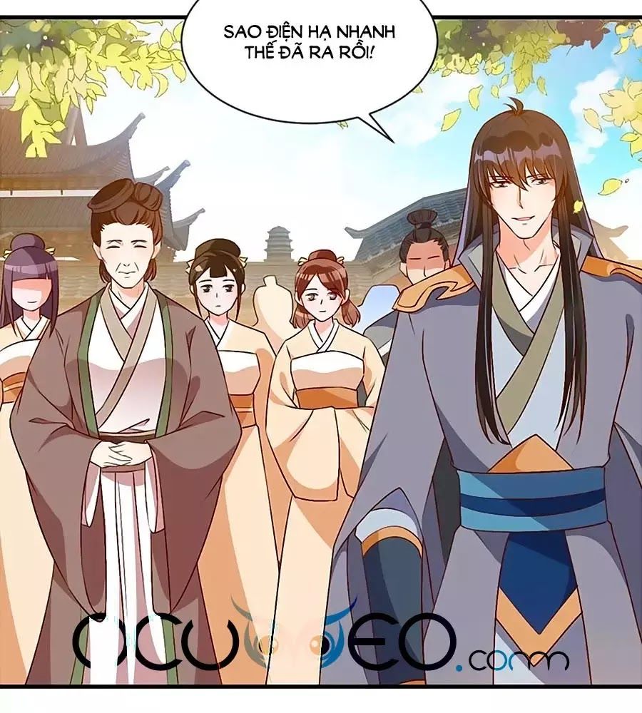 Thịnh Thế Lê Hoa Điện Chapter 74 - Trang 2